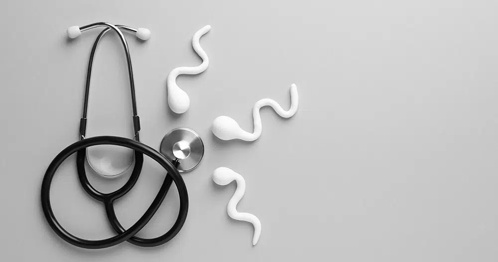 fertility and caffeine, sperm motility, sperm count