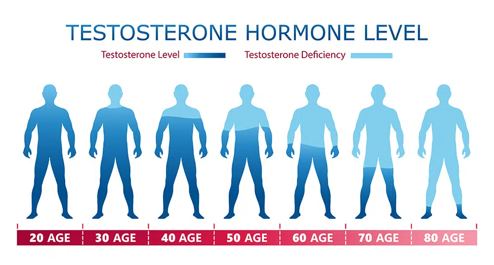 cold shower effects, male hormone levels, does cold shower increase testosterone, testosterone response