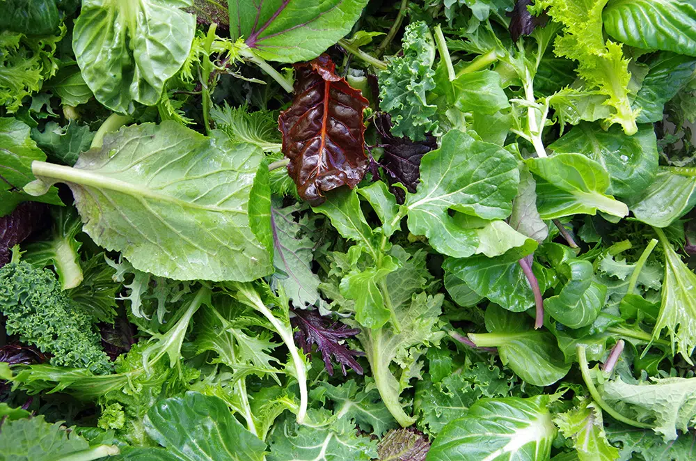 foods that increase sperm count, leafy greens, folate