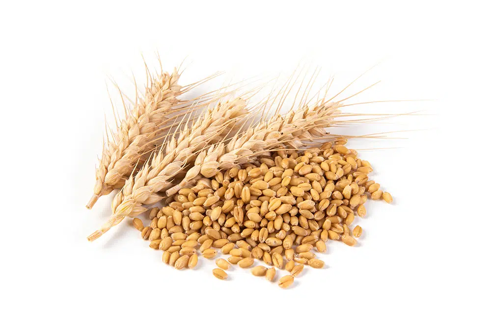 foods that increase sperm count, whole grains, legumes